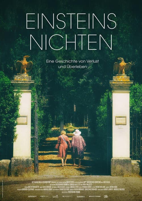 Einsteins Nichten (2017) poster