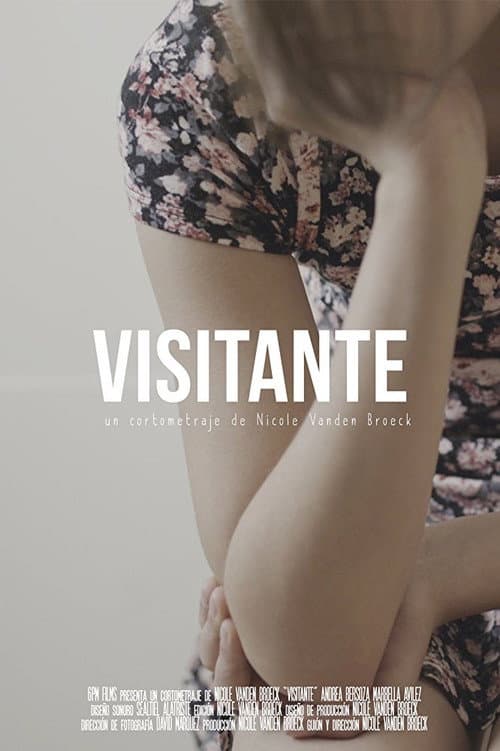 Visitante (2017) poster