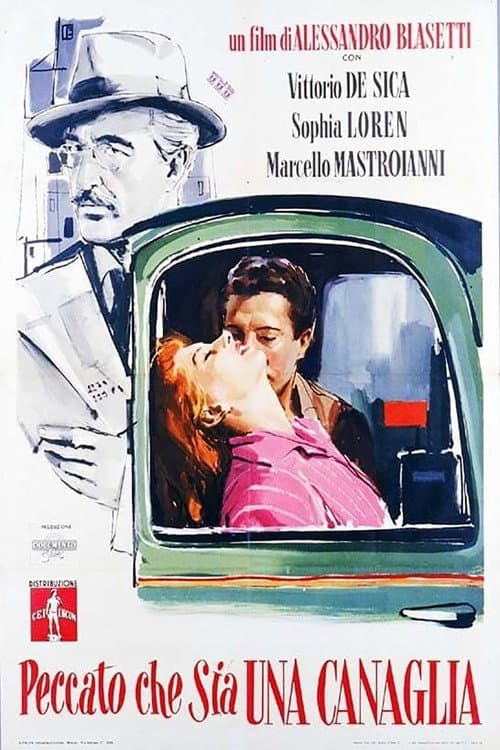 Peccato che sia una canaglia (1954) poster