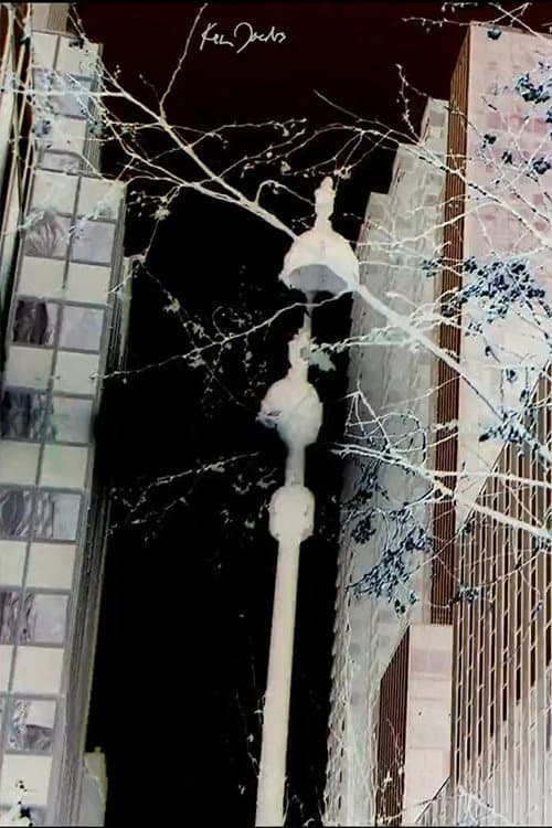 City Foliage (2020) poster