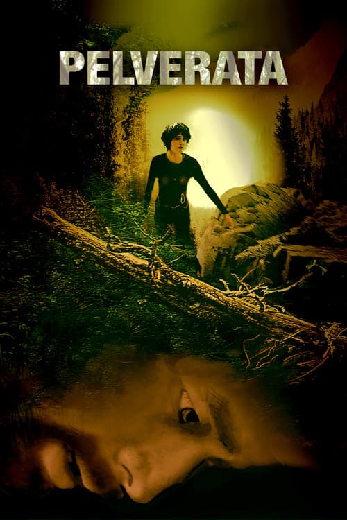 Pelverata (2025) poster