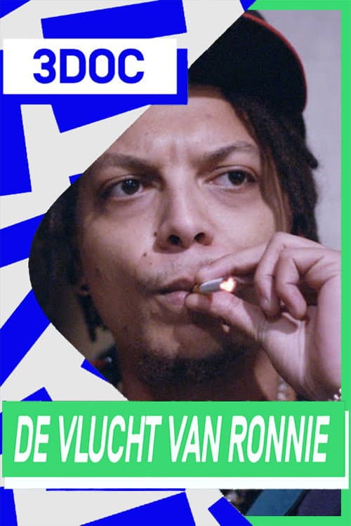 De Vlucht van Ronnie (2020) poster
