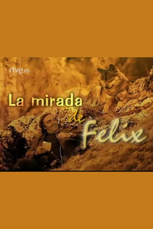 La mirada de Félix (1999) poster