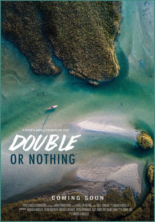 Double or Nothing (2024) poster
