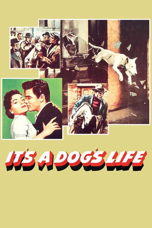 It's a Dog's Life (1955) poster