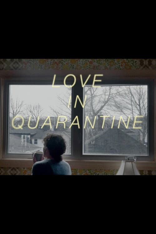Love in Quarantine (2020) poster