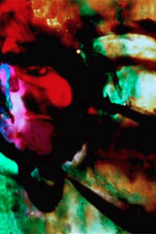The Lion and the Zebra Make God's Raw Jewels (1999) poster
