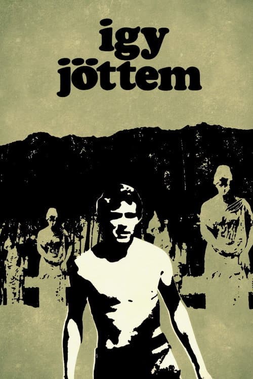 Így jöttem (1965) poster