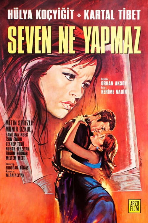 Seven Ne Yapmaz (1970) poster