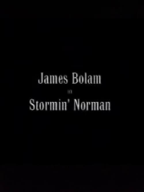 Stormin' Norman (2000) poster
