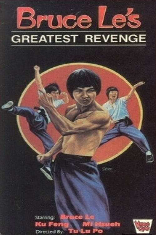 Way of the Dragon 2 (1978) poster