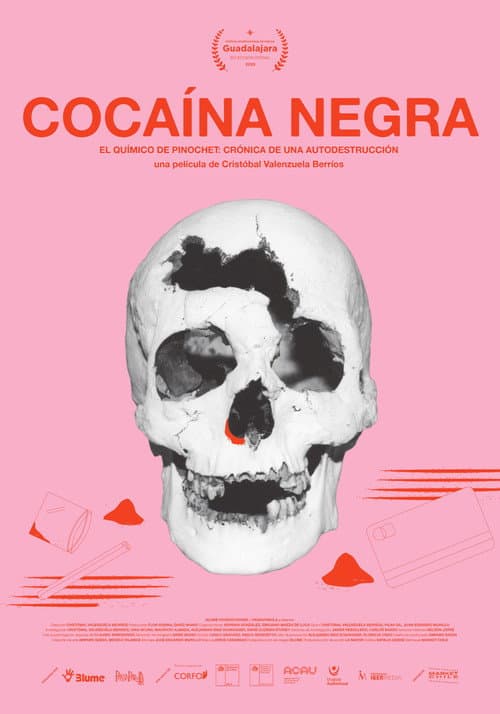 Cocaína negra (2026) poster