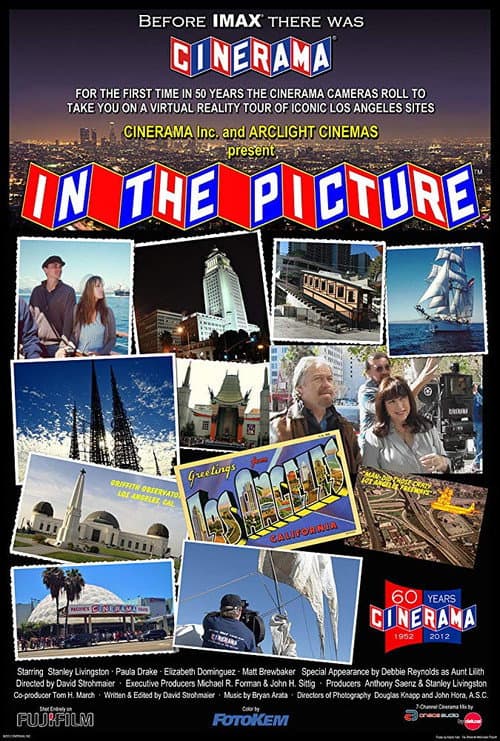In the Picture (2012) poster