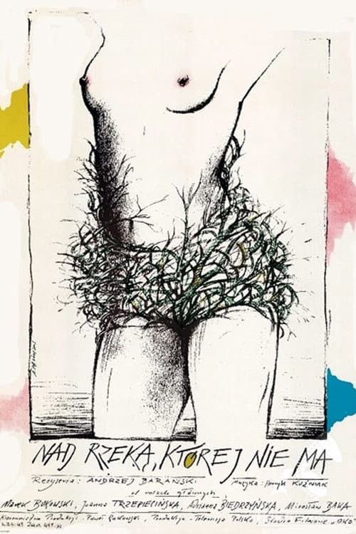Nad rzeką, której nie ma (1991) poster
