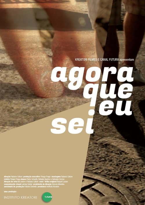 Agora Que Eu Sei (2016) poster