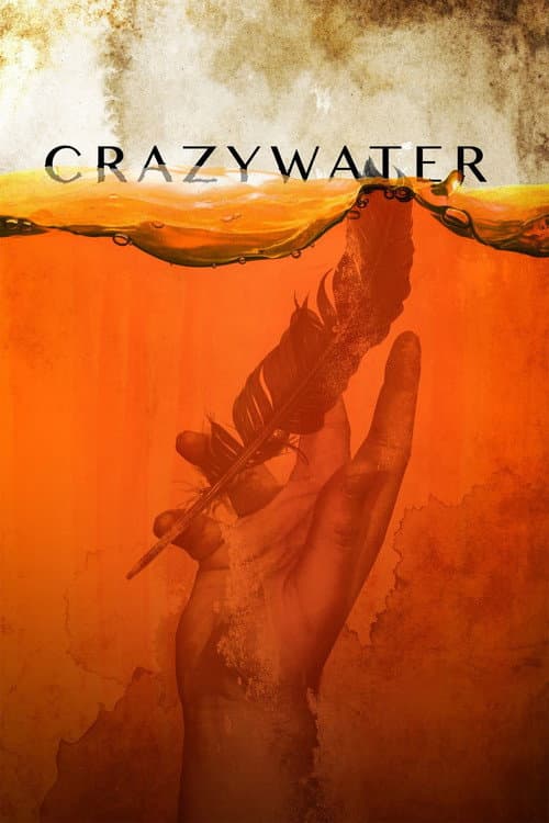 Crazywater (2013) poster