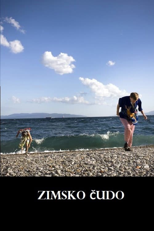 Zimsko čudo (2012) poster