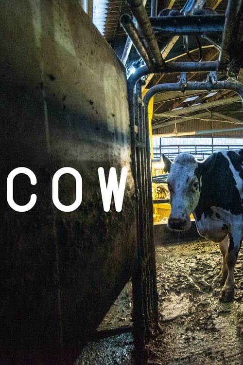 Cow (2022) poster