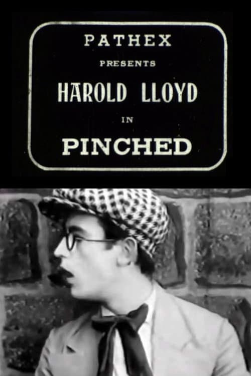 Pinched (1917) poster