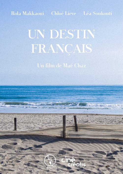 Un destin français (2023) poster