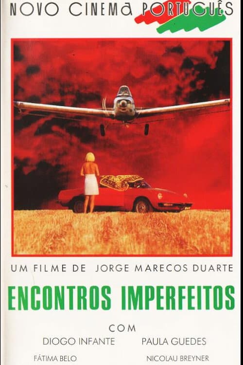 Encontros Imperfeitos (1993) poster