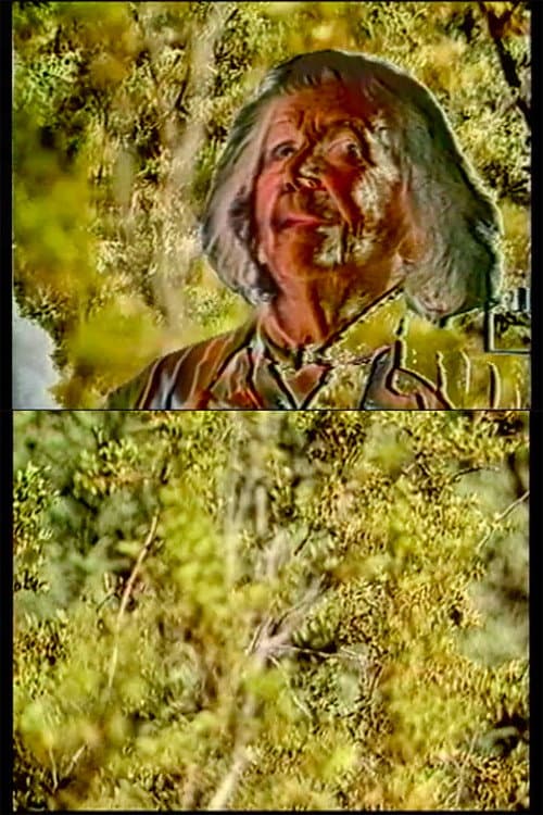 Lilith (1987) poster