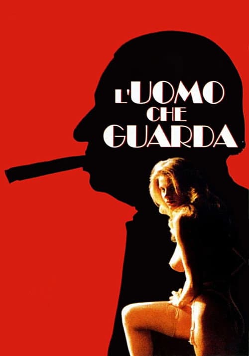 The Voyeur (1994) poster