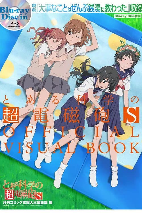 とある科学の超電磁砲S：大事なことはぜんぶ銭湯に教わった (2014) poster