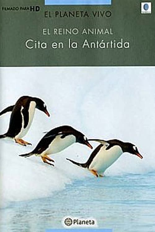 Rush Hour in Antarctica (2004) poster