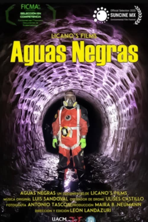 Aguas Negras (2020) poster
