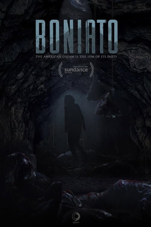 Boniato (2016) poster