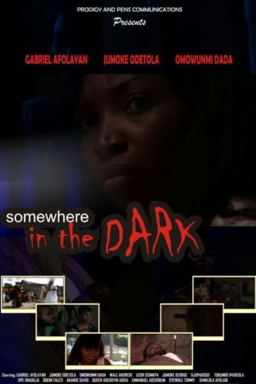 Somewhere in the Dark (2016) poster