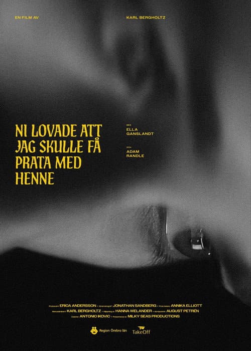 Ni lovade att jag skulle få prata med henne (2025) poster