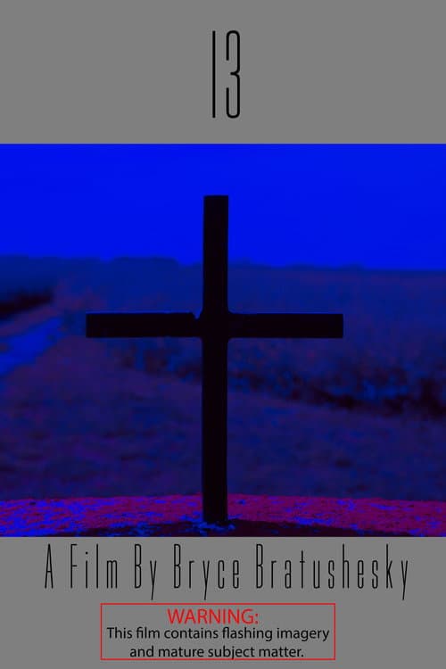 13 (2024) poster