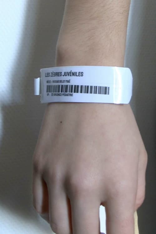 Les Zèbres Juvéniles (2026) poster