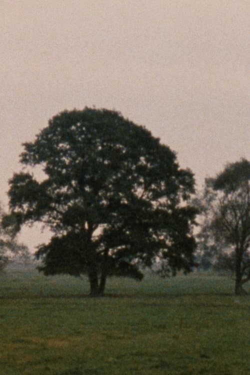 Leute mit Landschaft (1988) poster