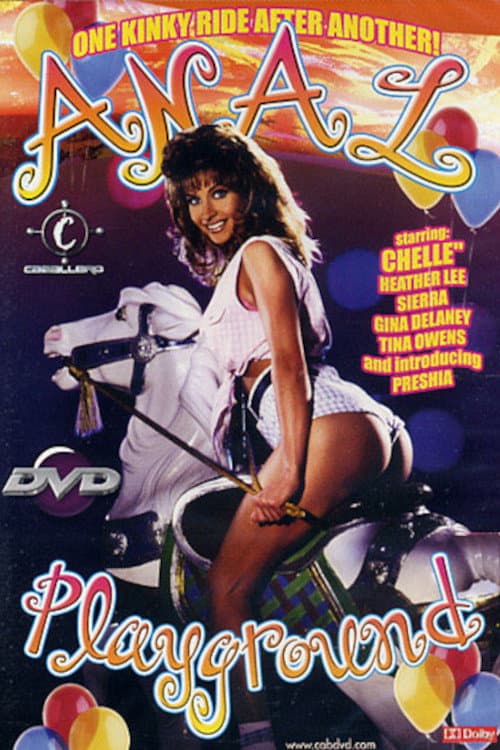 Anal Playground (2011) poster
