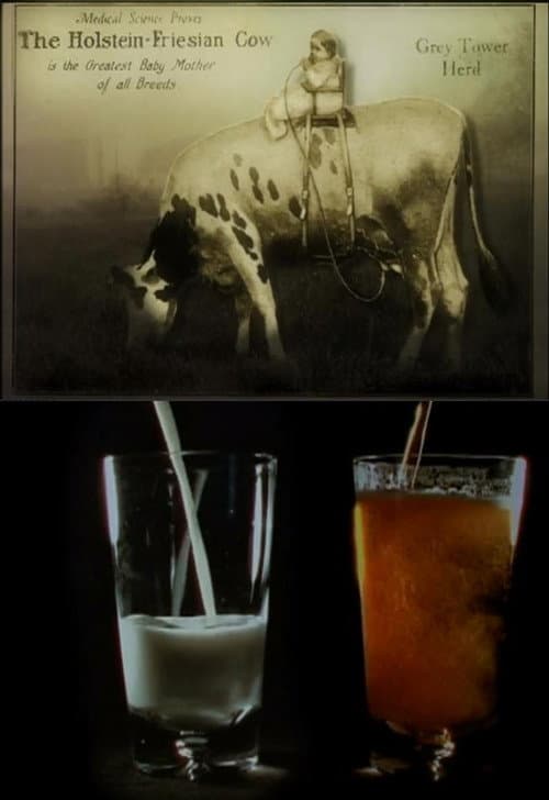 Notes on Milk (2007) poster