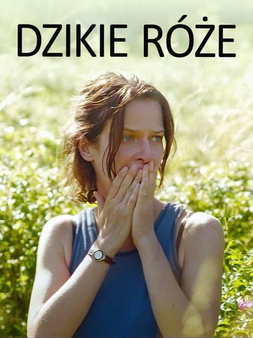 Dzikie róże (2017) poster