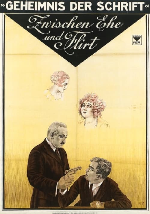 Das Geheimnis der Schrift (1924) poster