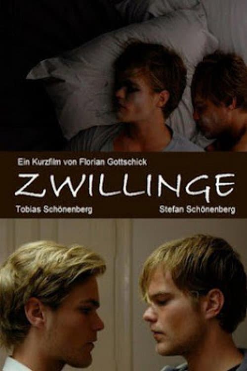 Zwillinge (2010) poster