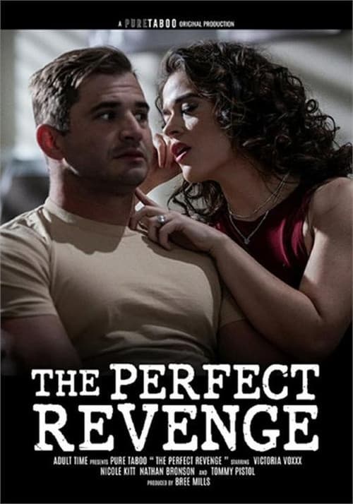 The Perfect Revenge (2026) poster
