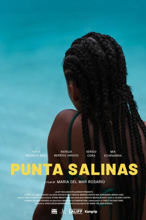 Punta Salinas (2024) poster