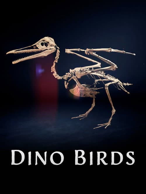 Dino Birds (2025) poster
