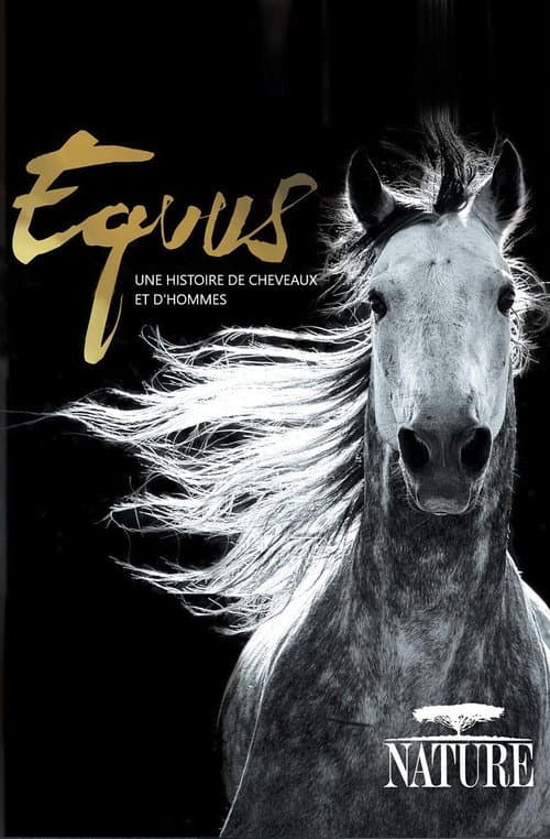 Equus, une histoire de chevaux et d'hommes (2019) poster
