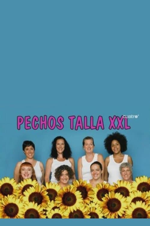 Stacked Like Me (2006) poster