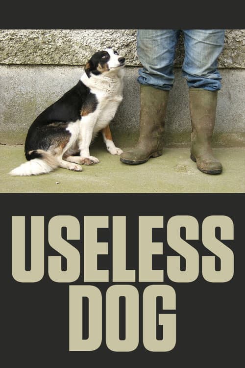 Useless Dog (2004) poster