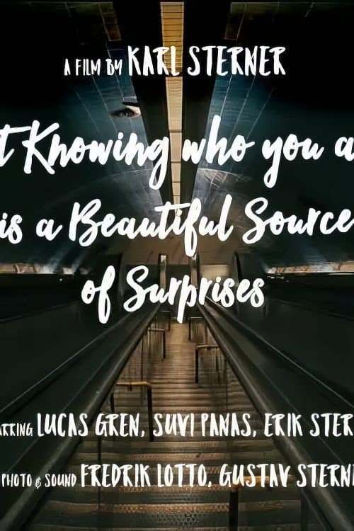 Not knowing who you are is a beautiful source of surprises (2016) poster