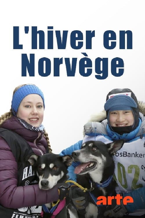 Norwegens schönste Jahreszeit - Der Winter (2017) poster