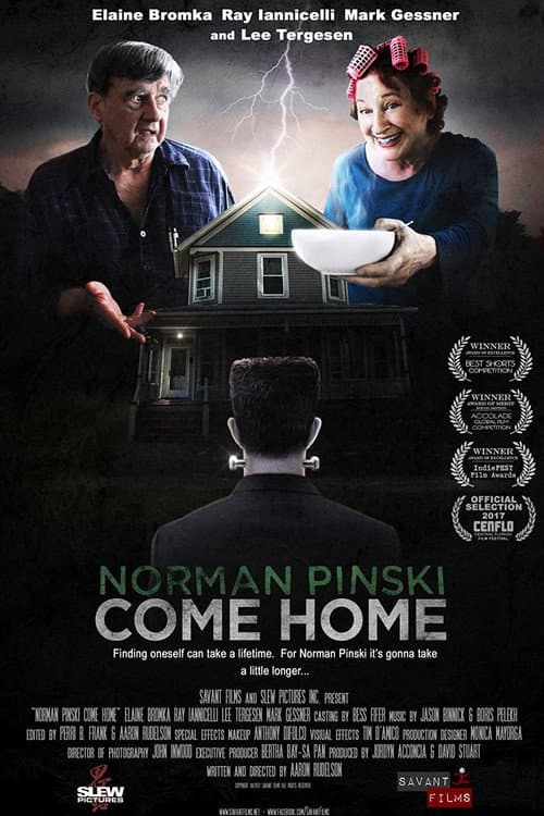 Norman Pinski Come Home (2017) poster